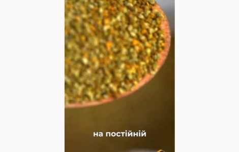 Купуємо натуральний бджолиний пилок оптом