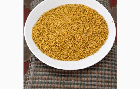 Пилок бджолиний в роздріб та оптом