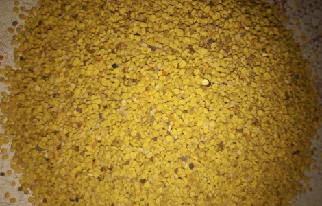 Продается пыльца пчелиная