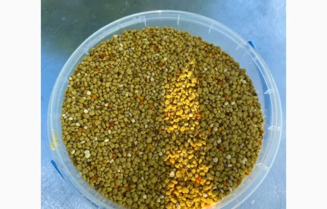 Продается бджолиний пилок от Медович