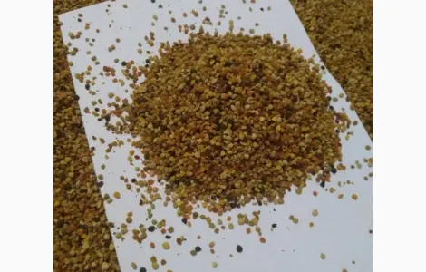 Продам пилок квітковий