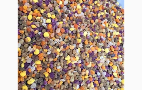 Продается пыльца бджолиної обніжки