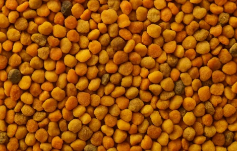 Продается пчелиный пилок 2025 года сбора