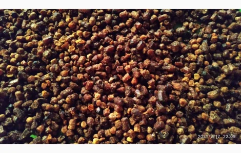 Куплю пергу и пилок цветков