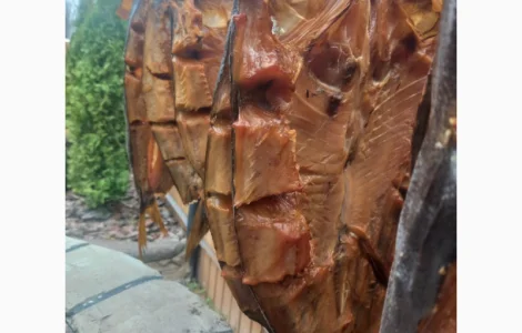 Товстолоб холодного копчення