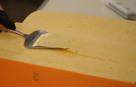 Твердый сыр высокого качества