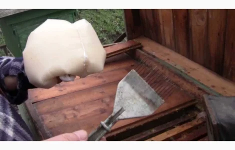 Сахарная пудра для пчёл. Канди для медовухи