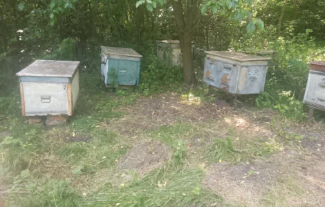 Ульї для бджіл б/у, 4 штуки у продажу