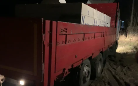 Зарибок коропа