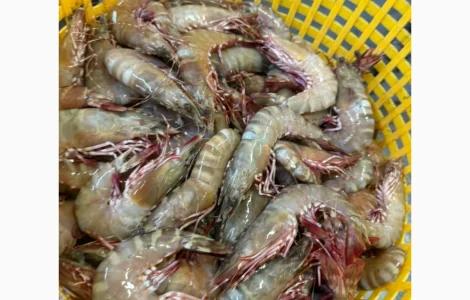 Ремонт та модернізація гідравлічних систем для суден – Миколаїв