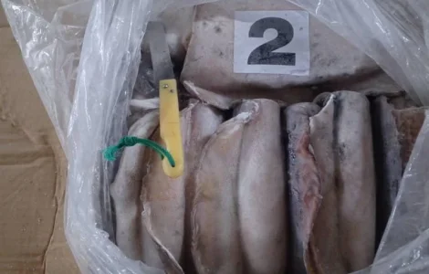 Оптовый поставщик морепродуктов из Мавритании, порт Нуадаибу