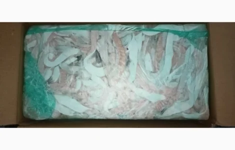 Продам брюшки сёмги замороженные