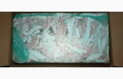 Продам брюшки сёмги заморожені
