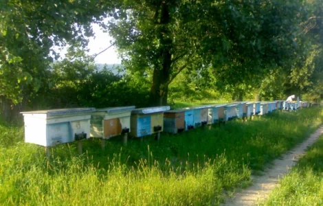 Продаются бжолопакеты 4 рамочные