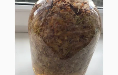 Настоянка цвіту каштана від варикозу