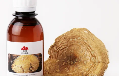 Настоянка пантерного мухомора