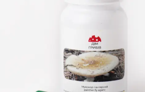 Микродозинг пантерный мухомор