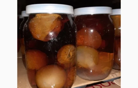 Продам настойку гриба Веселка