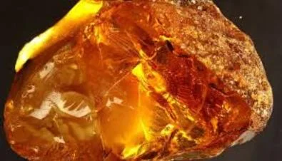 Бальзам «ЯХвА» 4 - antitumor amber (противоопухолевый с янтарем) 110мл