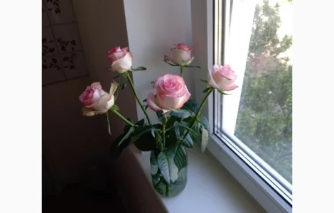 Відкоси Новобіличі. Укоси на вікна та двері