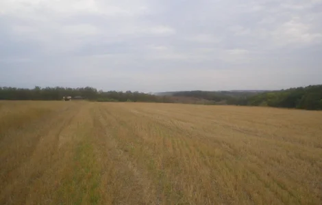 Продам земля 12 га.будинок склад капельне зрошення