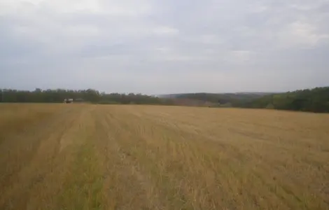 Продам земля 12 га.будинок склад капельне зрошення
