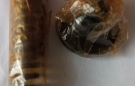 Клапан нагнітальний 9006.3906061 (з пружиною та упором) ЯМЗ-236238