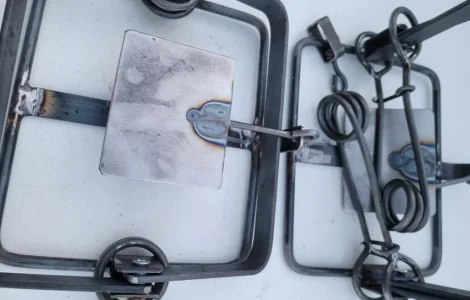 Капкан 5 на видру