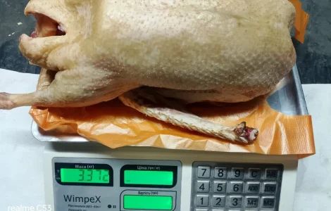 Продажа домашнего мяса гуся и утки, натуральное