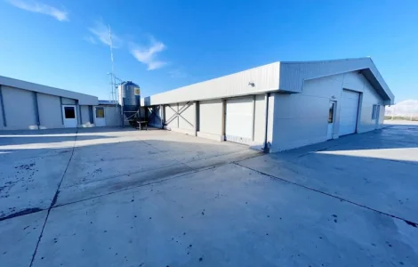 Свиноферма на 1400 голов в Румынии