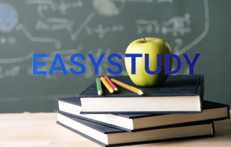 Заказать магистерскую работу