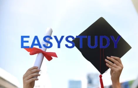 Заказать бакалаврскую работу