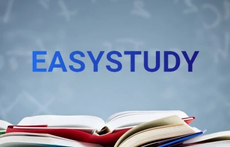 Заказать эссе