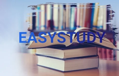 Замовити магістерську дисертацію