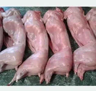 Свежие кролики на продажу