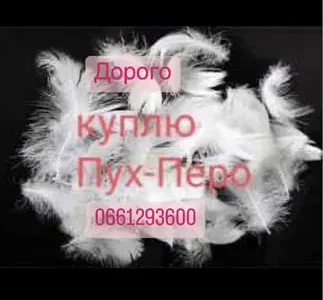 Покупка пуха и пера свежее и б/у в любых объемах