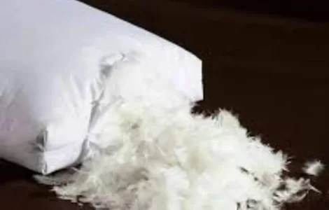 Покупка пуха и пера старые подушки выезд