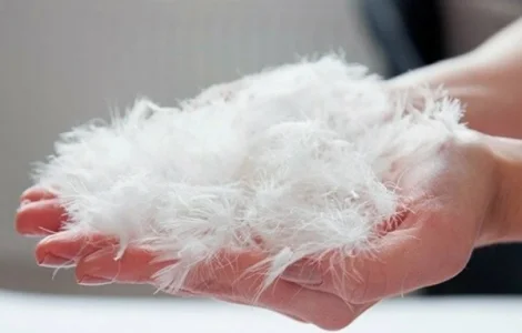 Покупка пуху та пір’я обмін подушок виїзд Суми