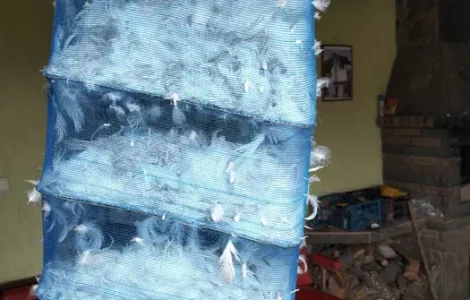 Продажа белого пуха гусей породы Датский Легарт с доставкой