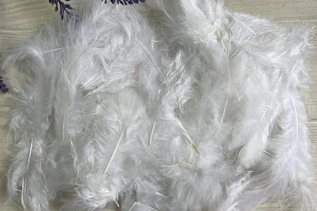 Купуємо пір' я подушки пух