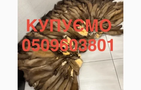 Купуємо куплю шкіри куниці бобра зайця норки видри
