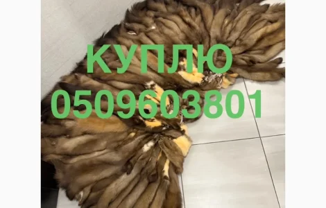 Куплю шкури по хороших цінах