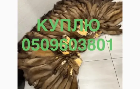 Куплю шкури по хороших цінах