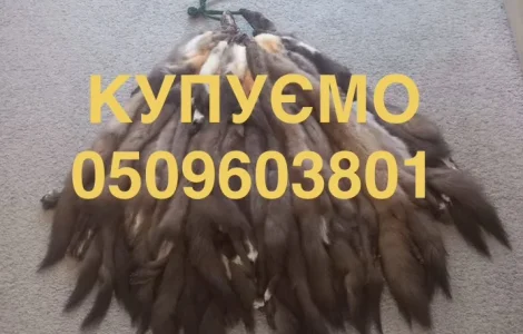Куплю шкіри/мех/хутро куниці/бобра