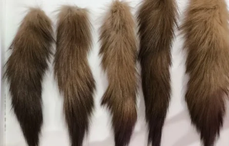 Хвости куниці/хвост куниц