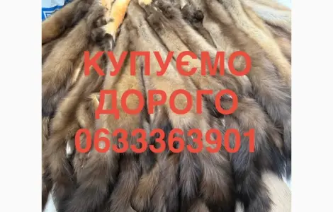 Купимо куницю шкіри дорого