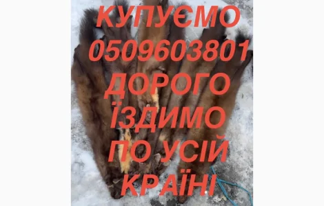 Куплю шкури
