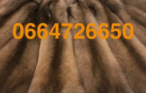 Продам куницю вичинену є в наявності багато