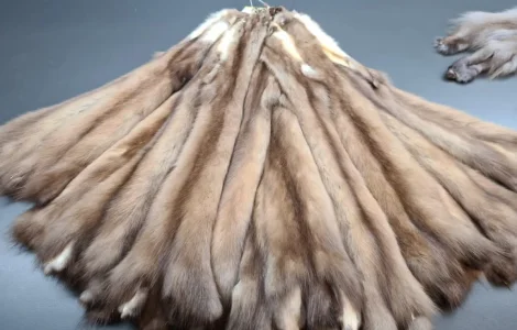 Куплю хутро куниці