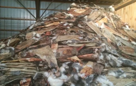 Куплю шкури кроля